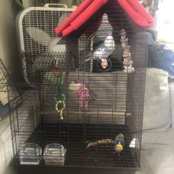 Bird Cage