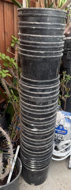 Pots 3g