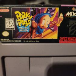 Super Nintendo Game 