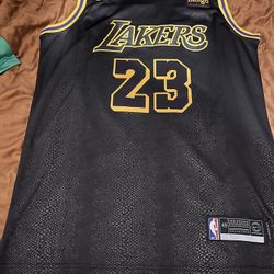 Brand New LeBron James Jersey Size Large $60