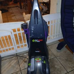 Carpet Cleaner 