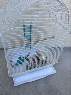 Bird cage