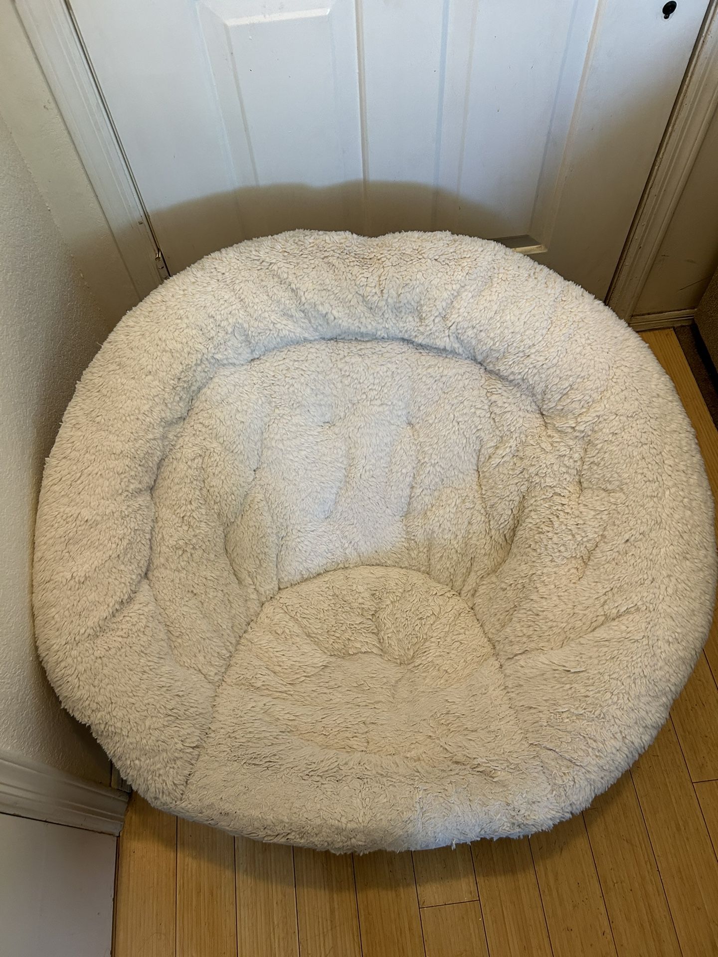 White Papasan Chair (Large Folding)
