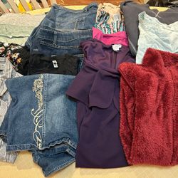 15 Pc Women’s Size 2X Mixed Clothing Lot EUC