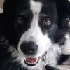 Julie