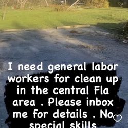 General Labor Worker For Central Florida Clean Up 