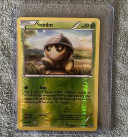 Seedot 9/114 XY-Steam Siege Reverse Holo