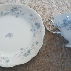 Johann Haviland Blue Garland Bavaria Germany China