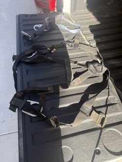 Harness