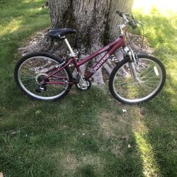 24” Iron Horse Mountain Bike 
