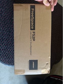 Bose Fs2p Pendant speaker
