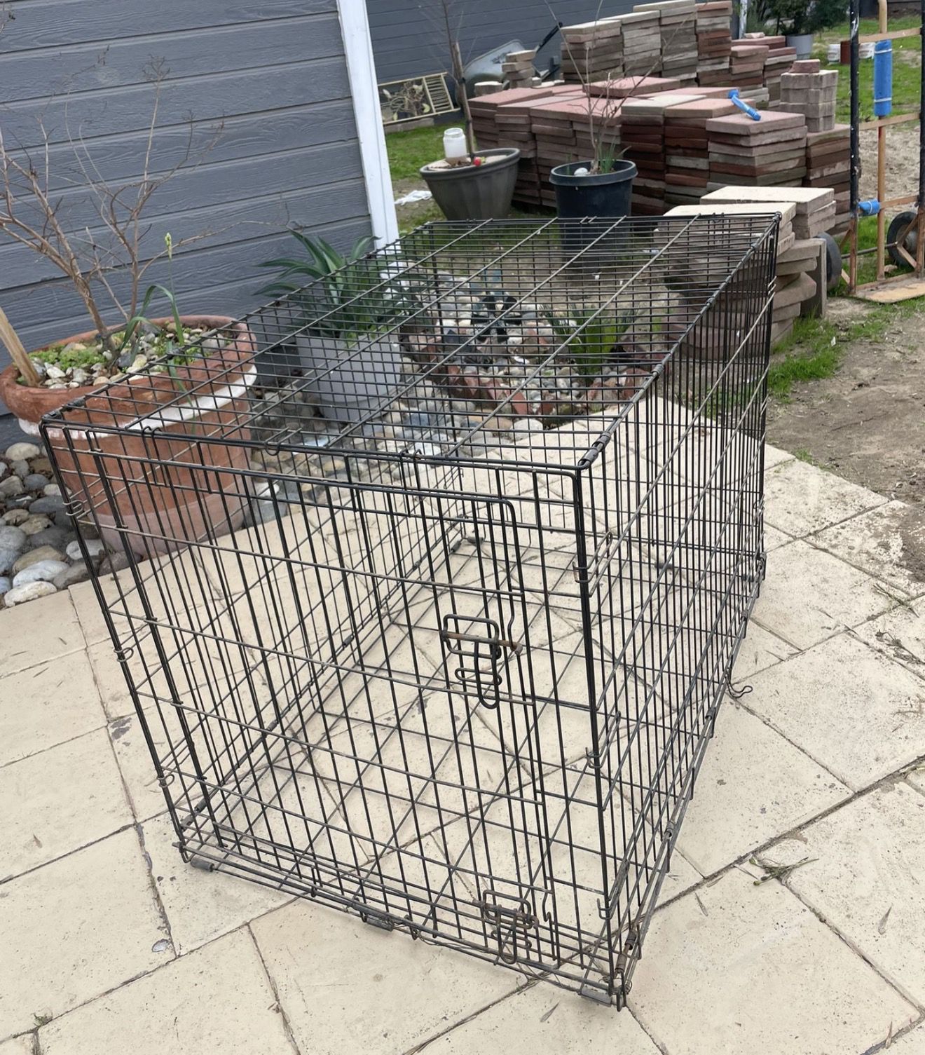 Cane Corso cage for sale