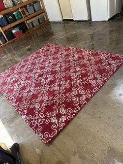 300$ Area Rug For $40