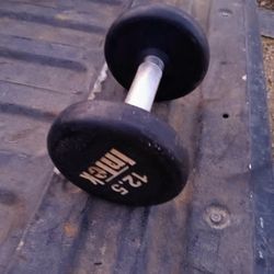12.5lb Dumbbell 