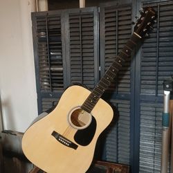 Acoustic Guitar 