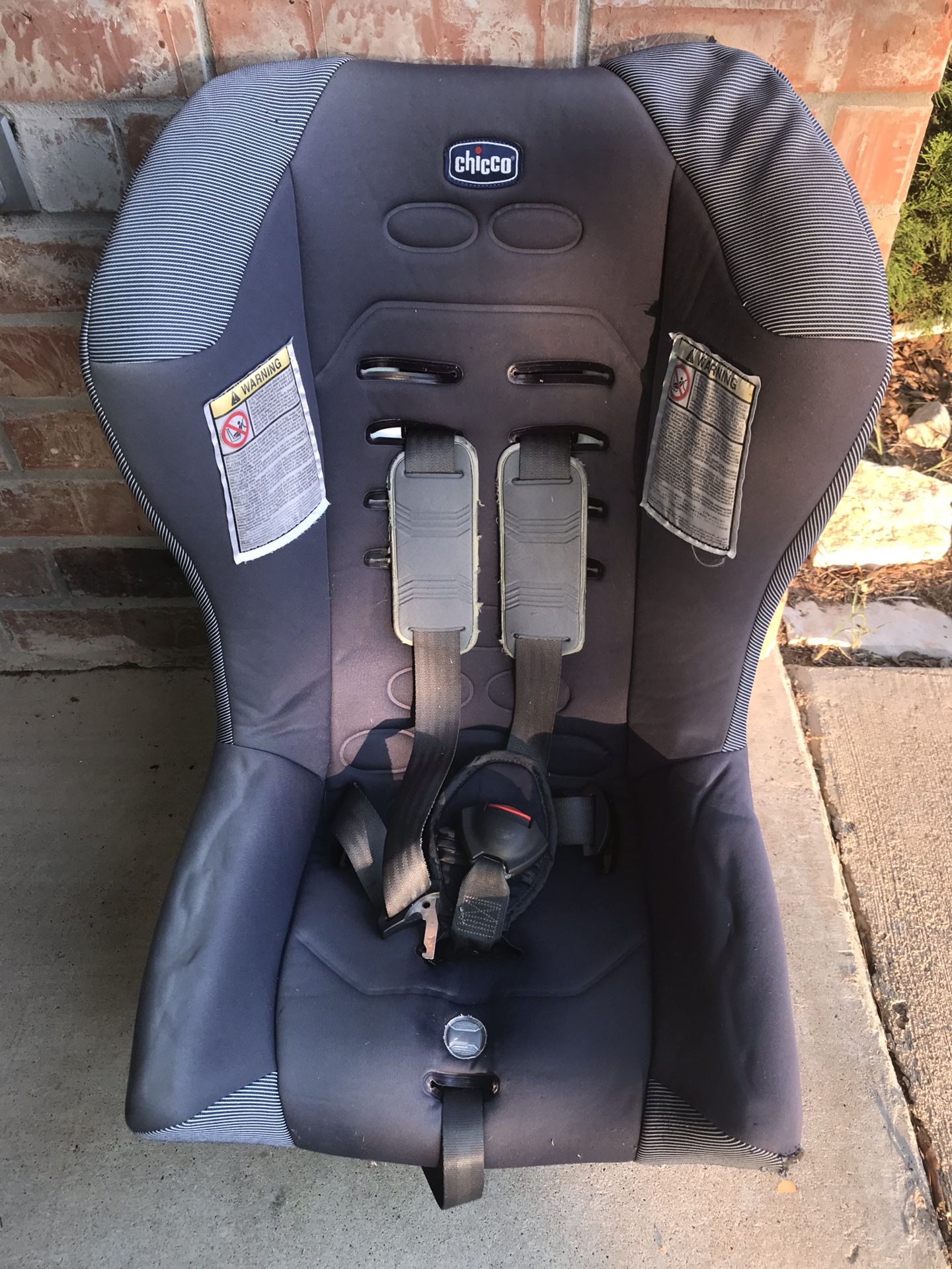 $20 Chicco Child Car Seat