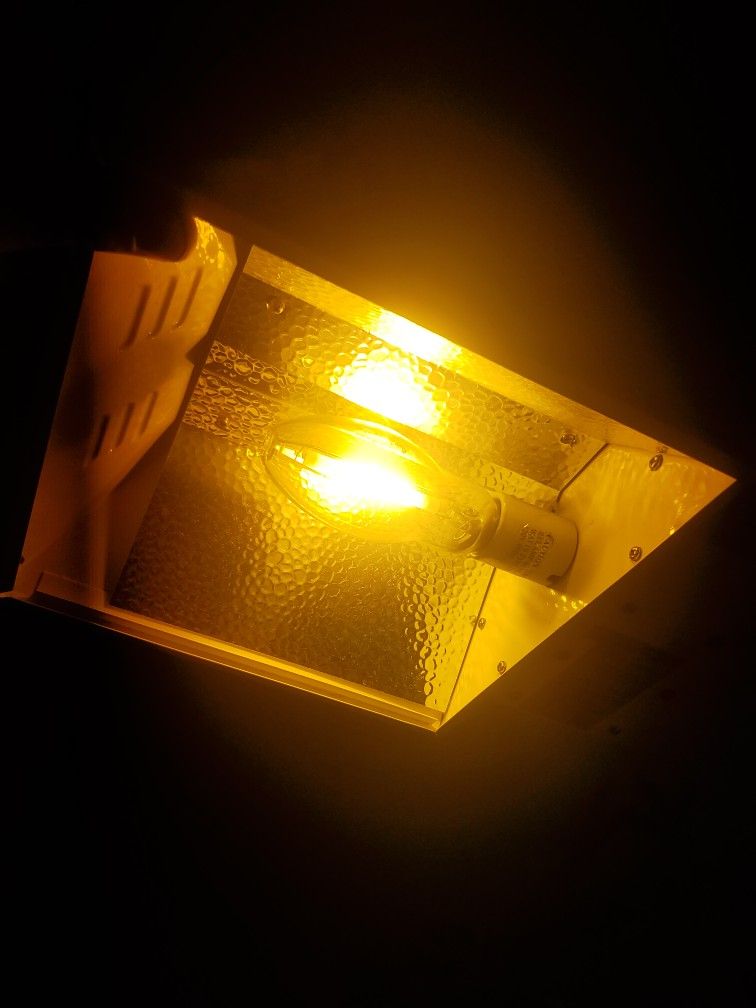 Mini Floralux Grow Light