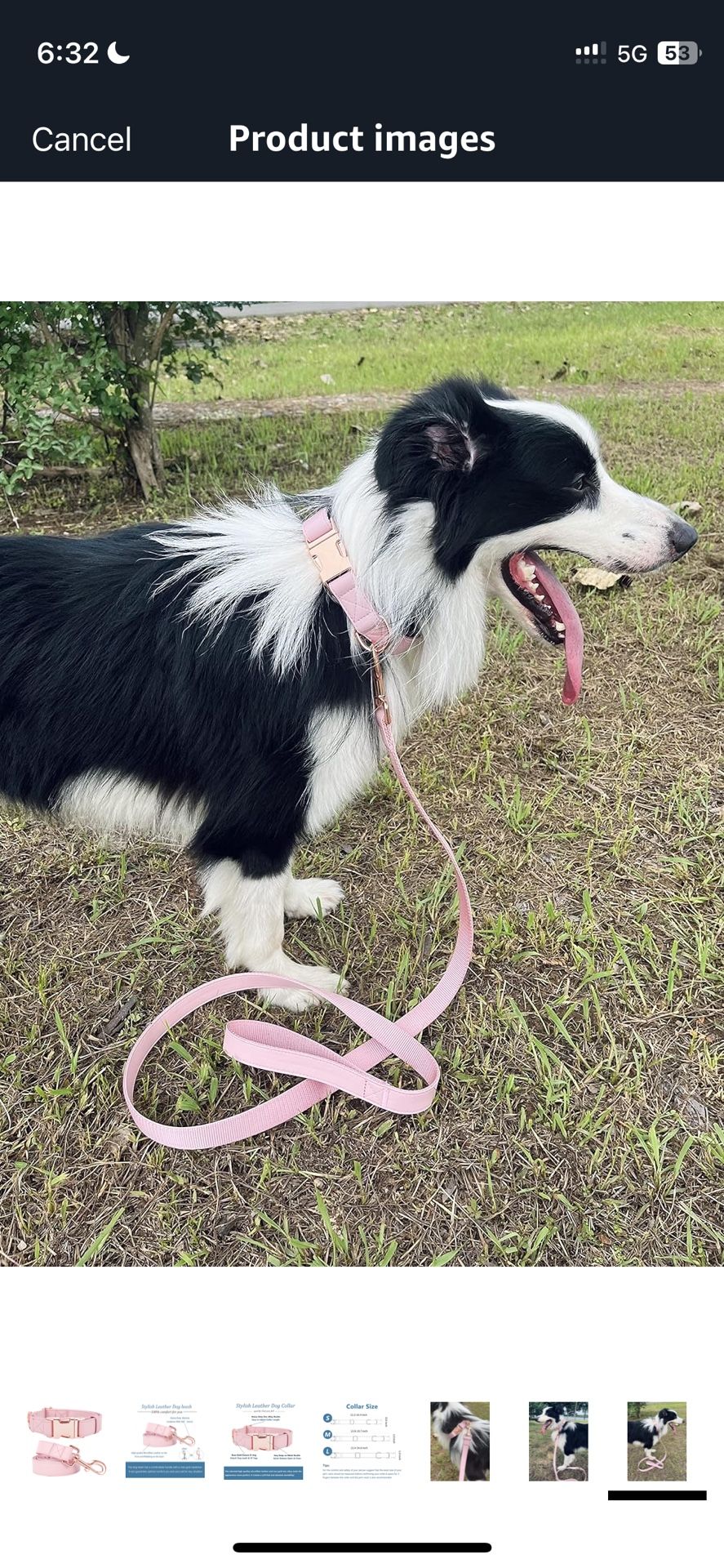 Dog Leash And Collar Set