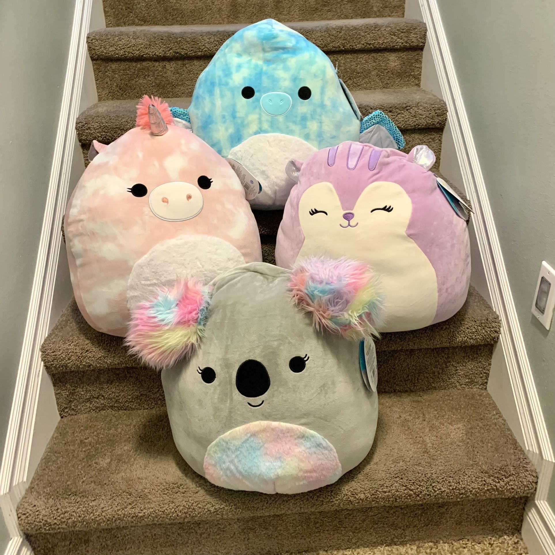 Nwt 16” Set Of 4 Squishmallow Costco Squad