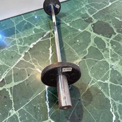 Olympic Curl Bar with 10 lbs of Plates