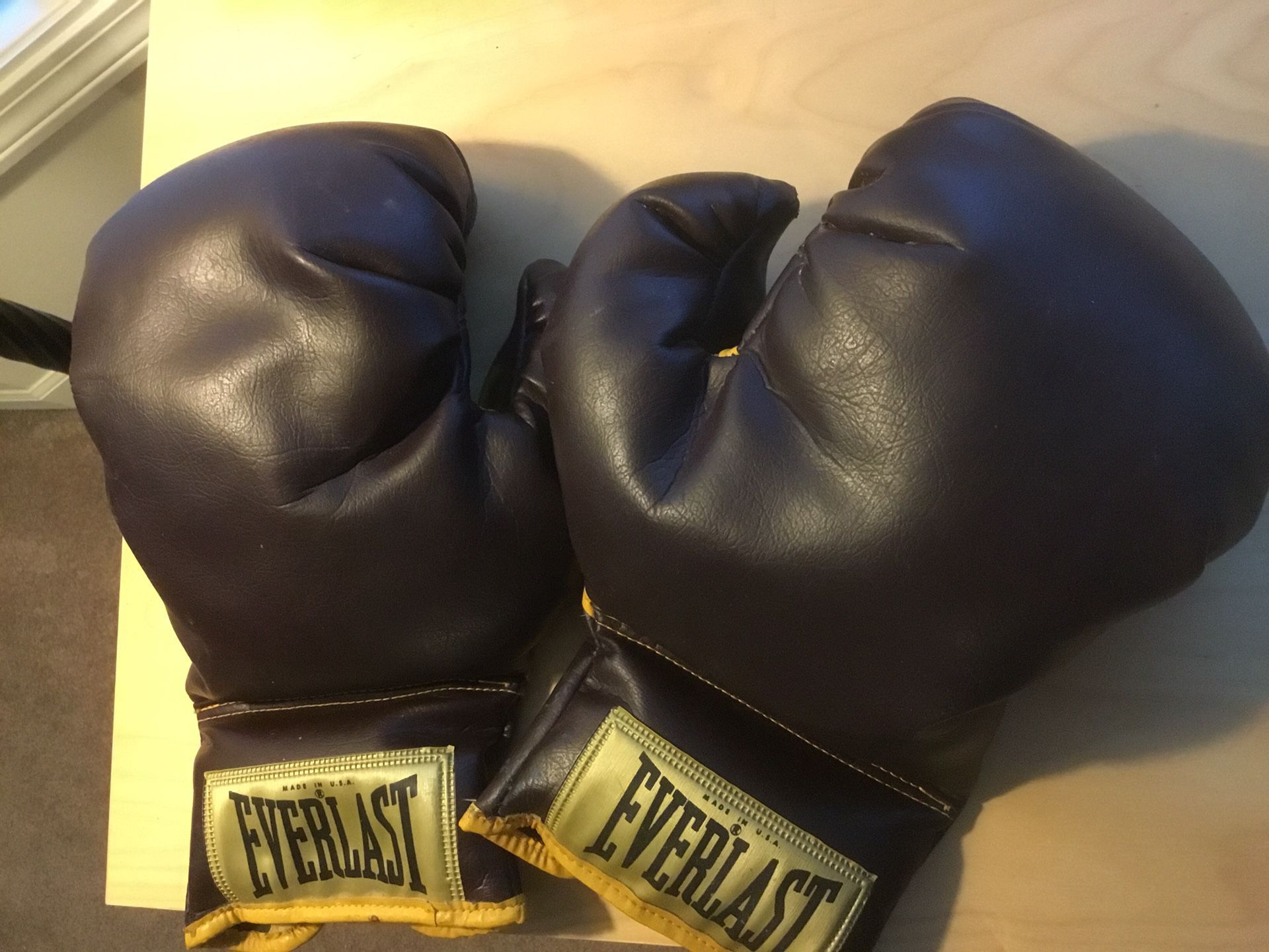 Boxing Gloves, Everlast, Leather