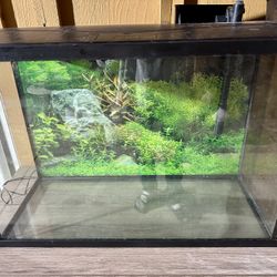 Aquarium Fish Tank