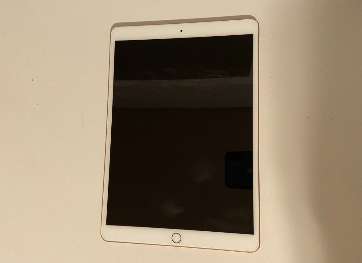 iPad Air 3