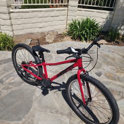 Trek Caliber 24"