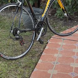 Road Bike Pro Denali 54 Cm