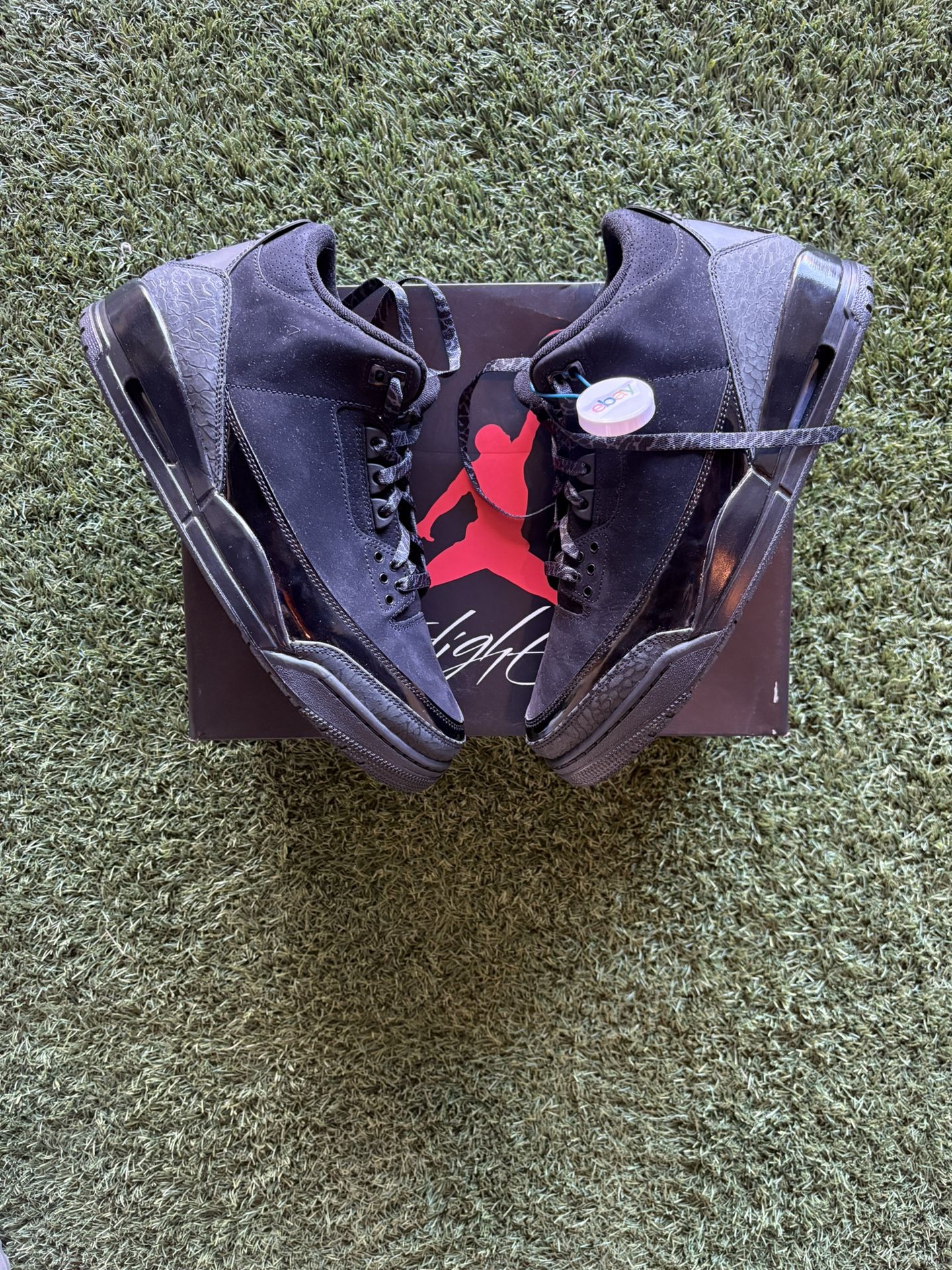 Jordan 3 “Black Cat”