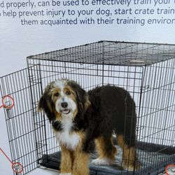 BIG DOG FOLDING CRATE
