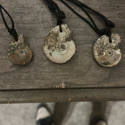 Ammonite necklaces