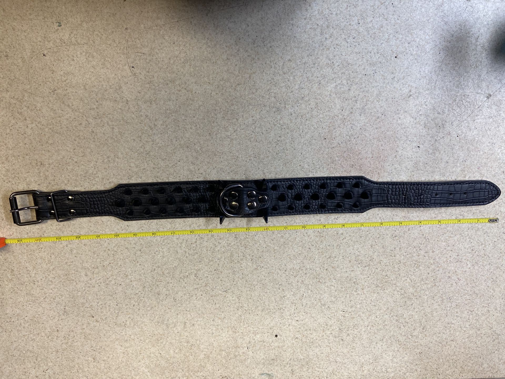 Spiked Dog Collar