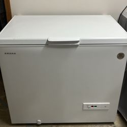 Storage freezer