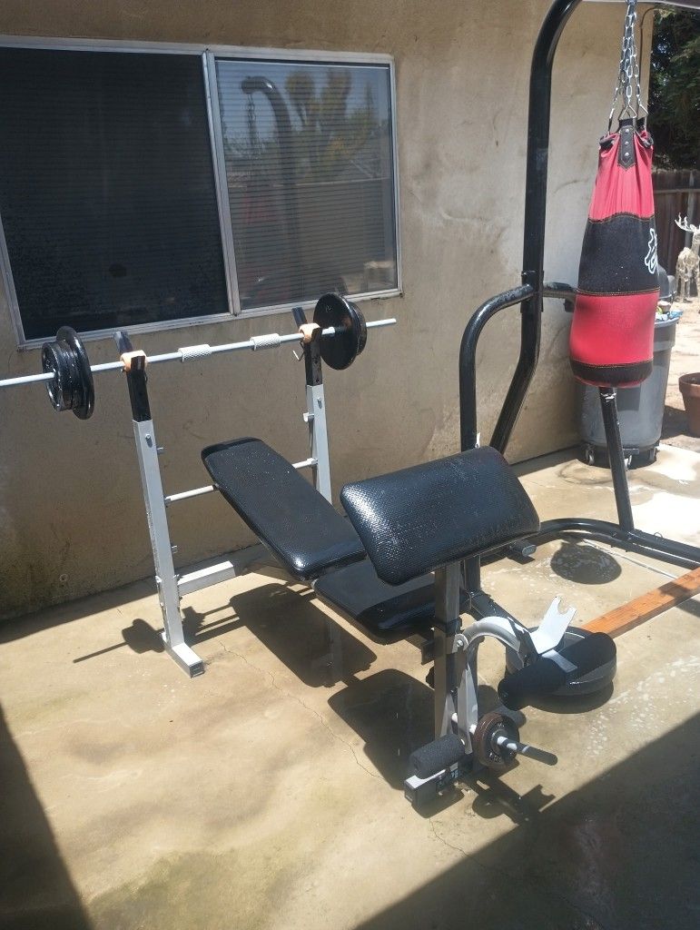 Weight Bench and Punching Bag Set