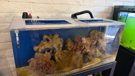 Salt water fish tank