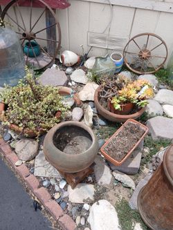 Lg. Terracotta Pots Plants
