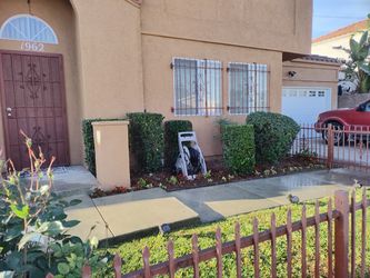Landscape-gardening