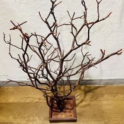 Brown Natural Manzanita (27”x21” approx)