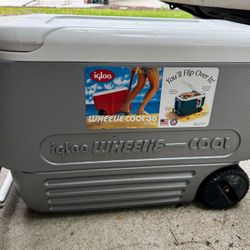 Igloo Cooler
