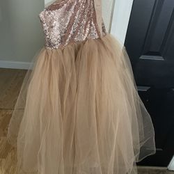 Rose Gold Dress