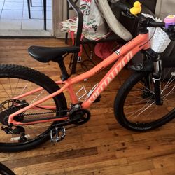Specialized Rockhopper 