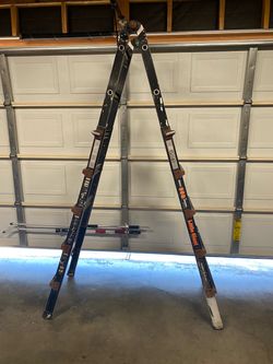 Little Giant Ladder