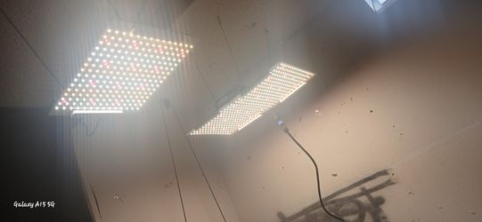 Led Grow Lights And Plants 