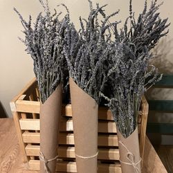 We Grow And sale lavender 