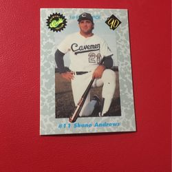 Baseball Card 