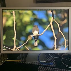 apple Monitor HD Cinema 