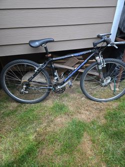 Adult bike