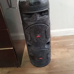 RIGDEWAY QS 2821 DUEL SPEAKER