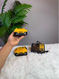 Dewalt 5Ah Battery & Charger 20v